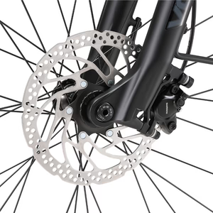 Cilo URBANFLEA CCL°06 Step-Through Road eBike